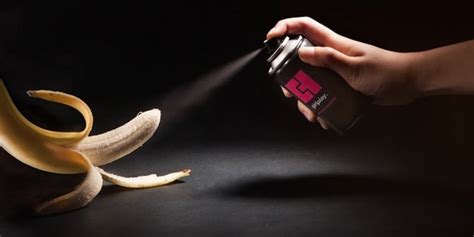 Blowjob without Condom Sexual massage Loevgaerdet
